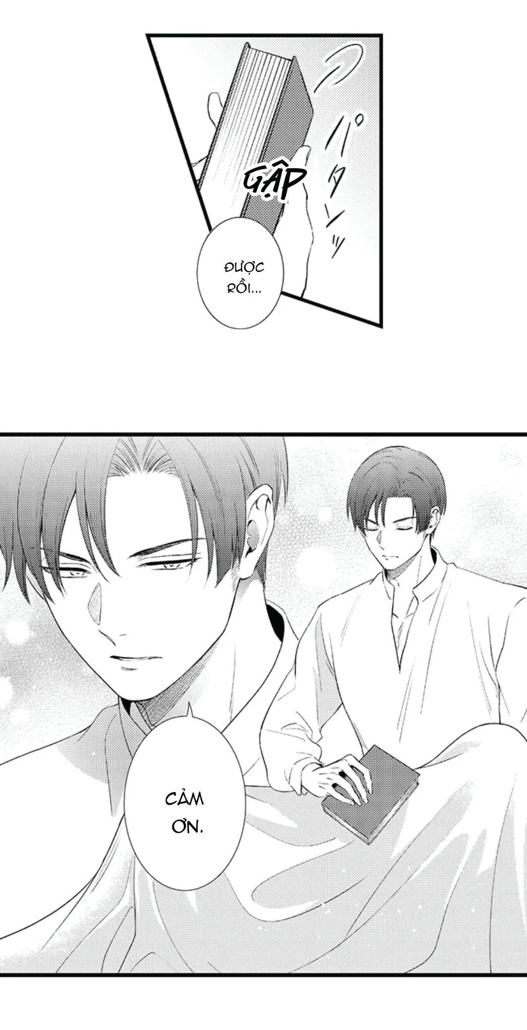 Amaregulus: Chiến binh & Soother Chapter 1 Trang 17