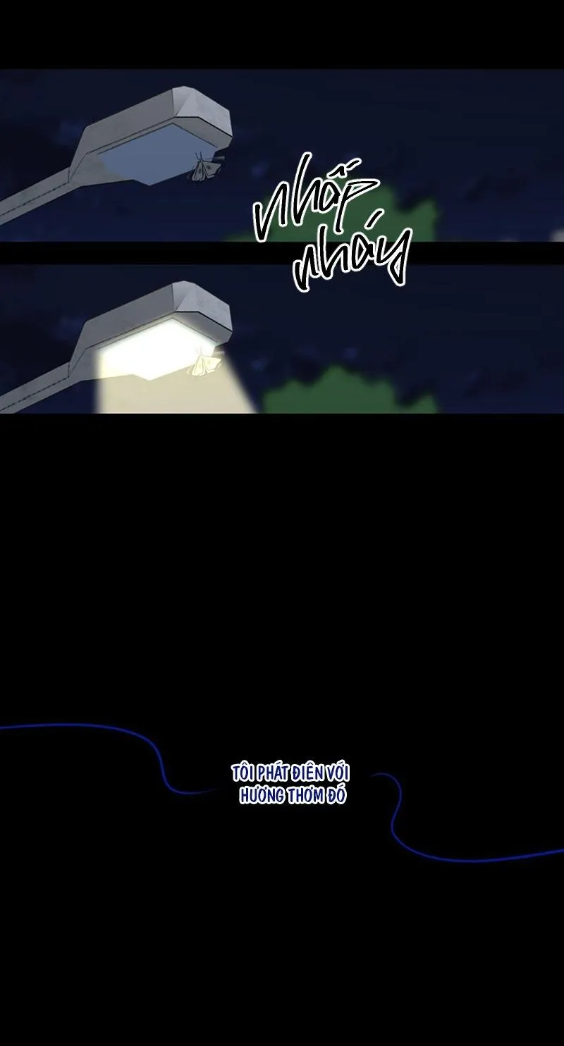 ẨN GIẤU Chapter 1 Trang 24