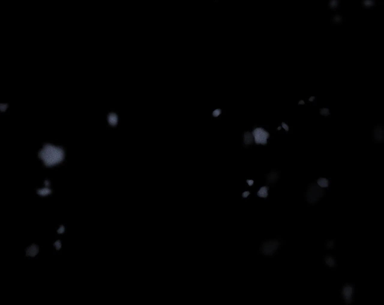 ÂN HUỆ Chapter 15 Trang 29