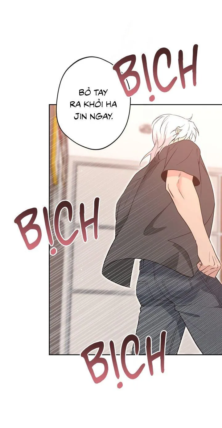 Angel kiss Chapter 39 Trang 5