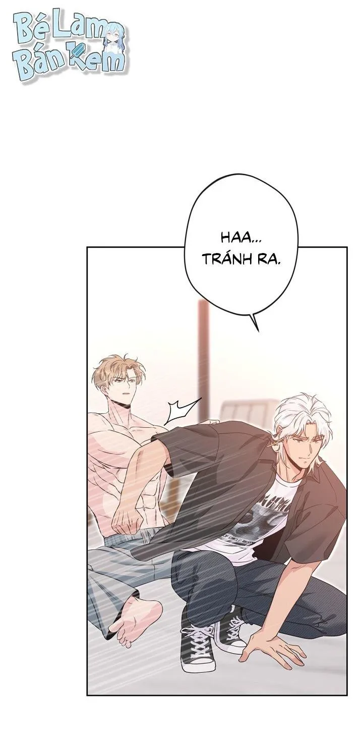 Angel kiss Chapter 40 Trang 6