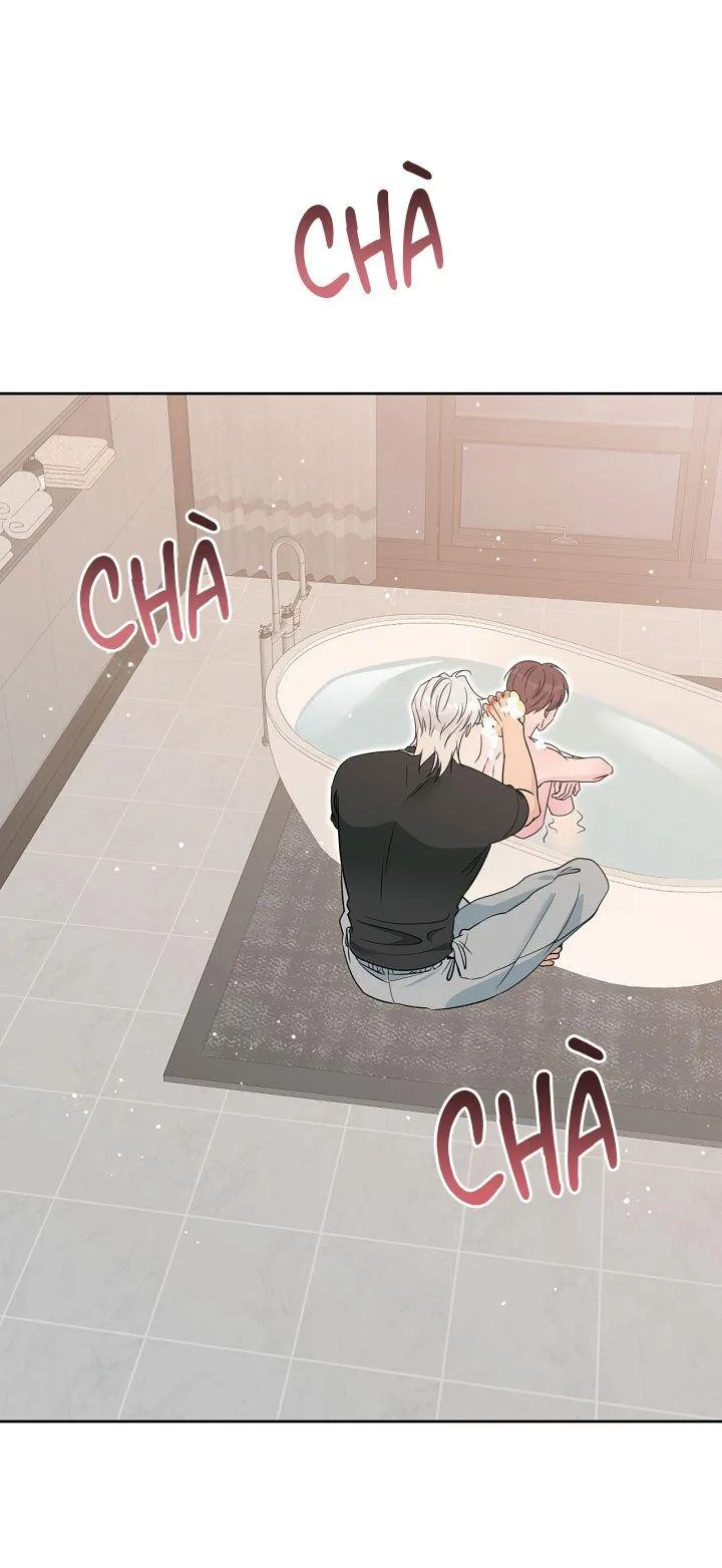 Angel kiss Chapter 40 Trang 46