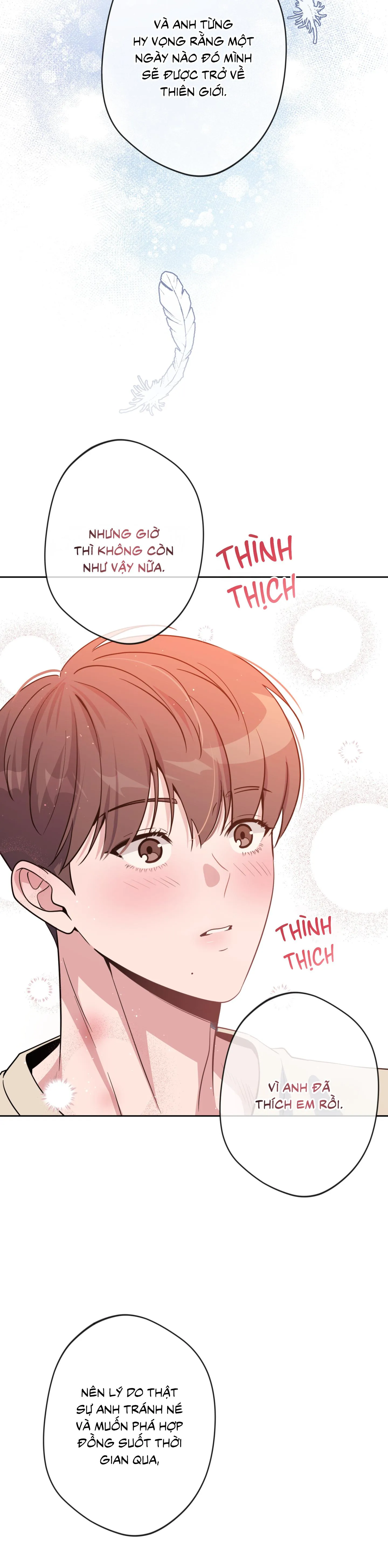 Angel kiss Chapter 49 Trang 24