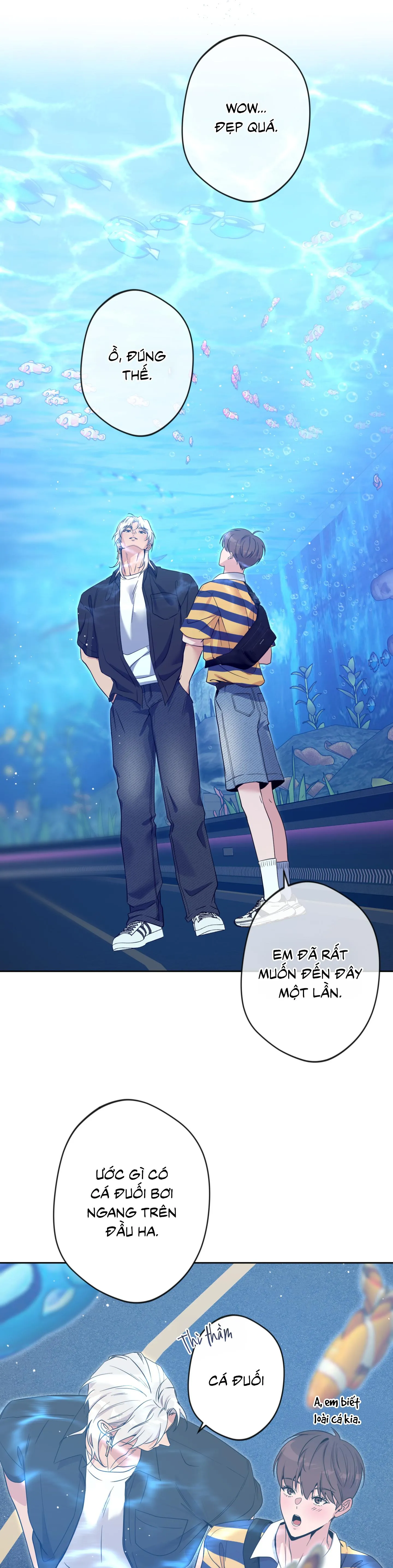 Angel kiss Chapter 50 Trang 24