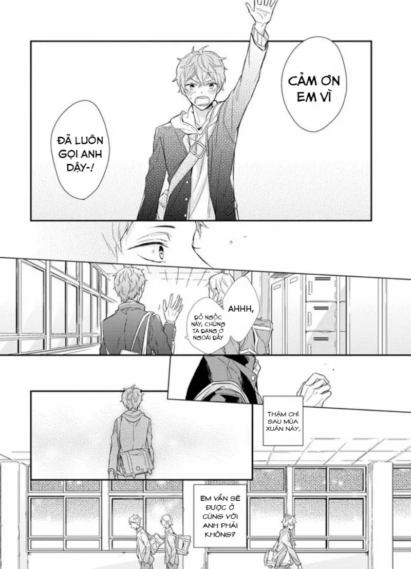 Đồ ngốc, anh biết mà Chapter 1 Trang 13