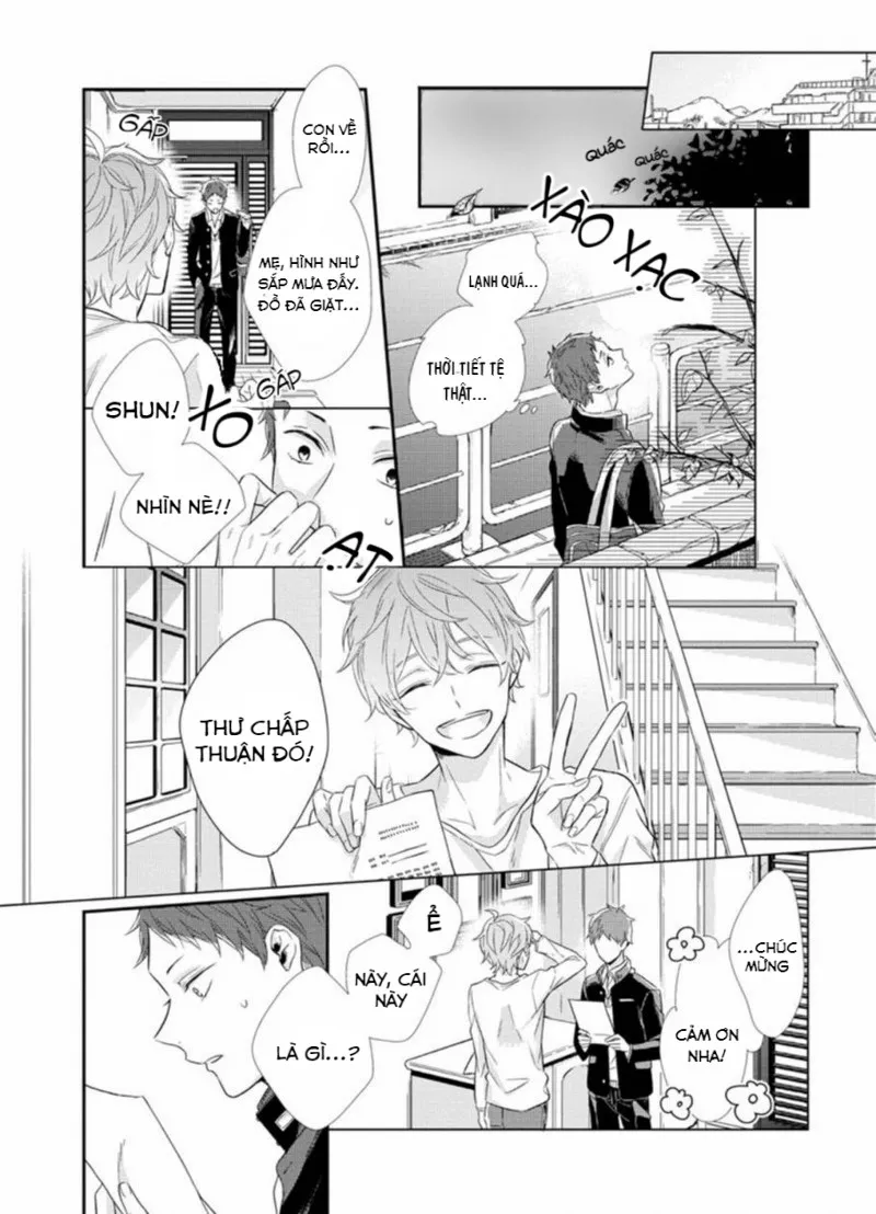 Đồ ngốc, anh biết mà Chapter 1 Trang 14