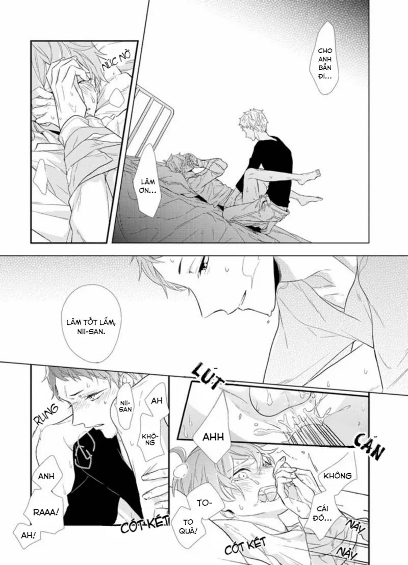 Đồ ngốc, anh biết mà Chapter 1 Trang 31