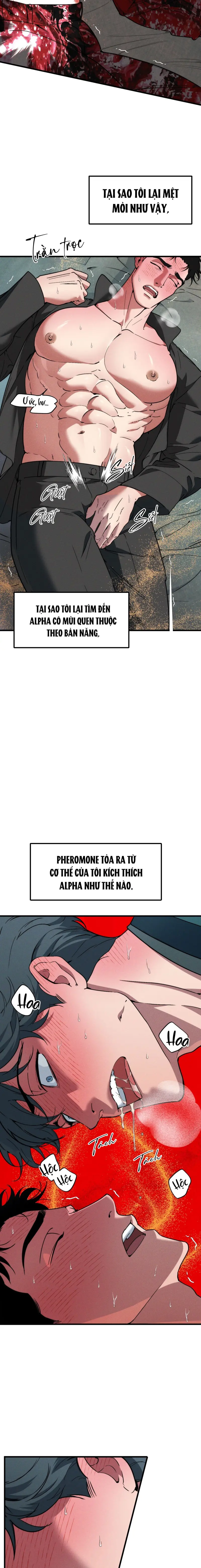 ANH CHỒNG TẾ PHẨM Chapter 36 Trang 4