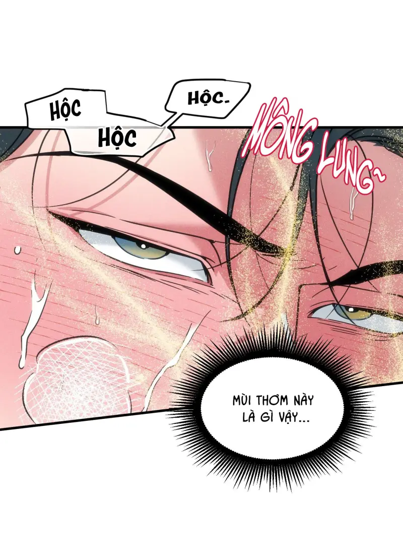 ANH CHỒNG TẾ PHẨM Chapter 38 Trang 51