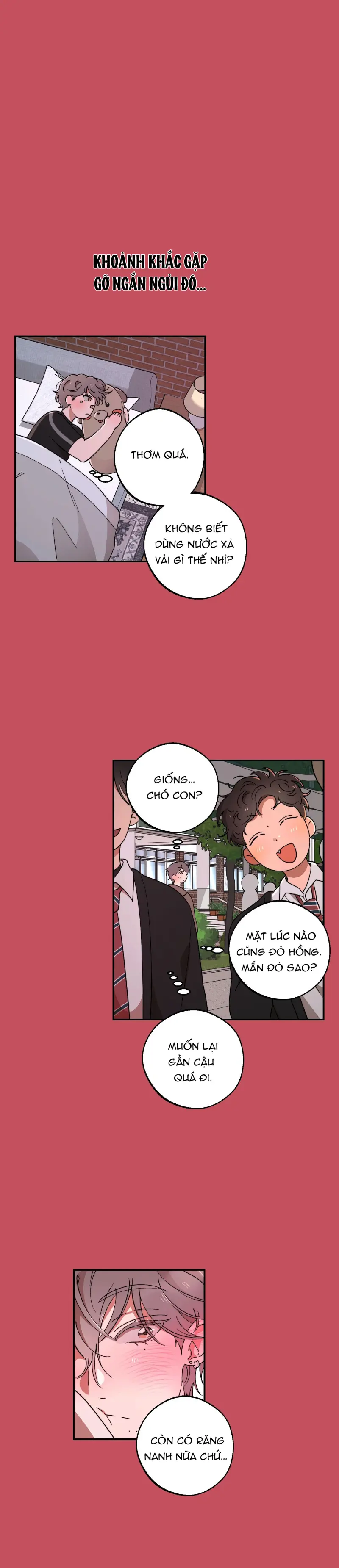 Ánh Đèn Mờ Ảo​ Chapter 3 Trang 10