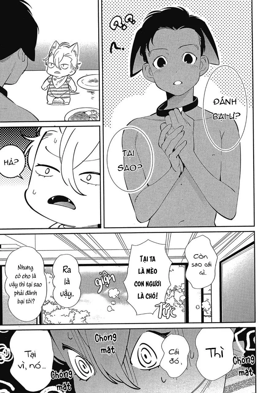 Anh sẽ chỉ được vuốt ve mỗi mình em Chapter 2 Trang 6