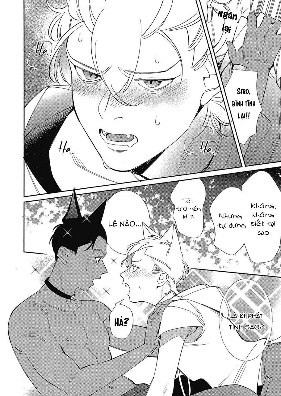 Anh sẽ chỉ được vuốt ve mỗi mình em Chapter 2 Trang 17