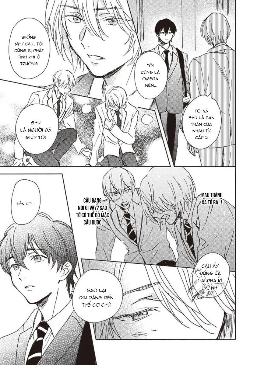 Anh trai muốn kết hôn với một Omega như tôi Chapter 5 Trang 23