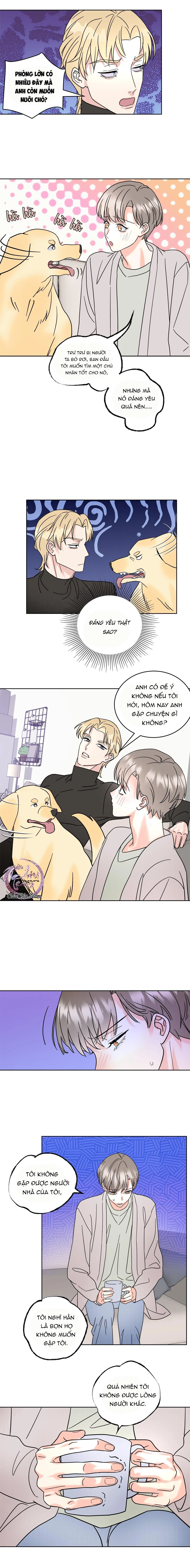 Anh Trai Rẻ Tiền Của Tôi (END) Chapter 4 Trang 5