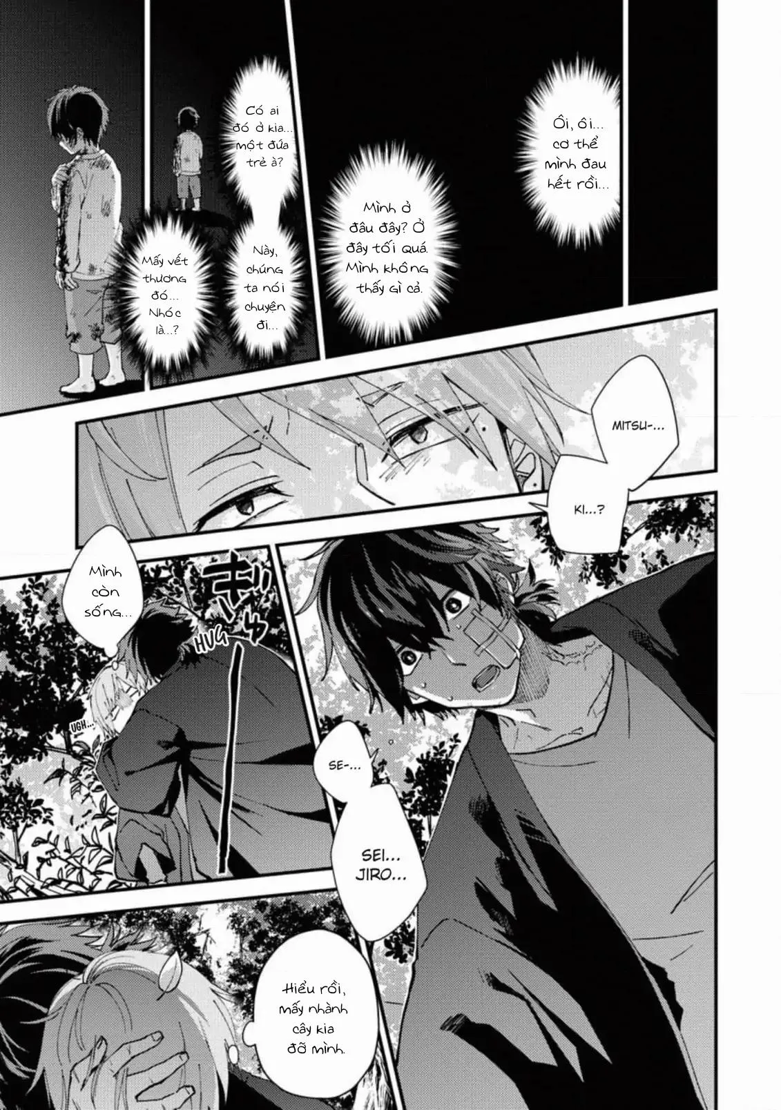 Ánh Trăng Tàn Và Nanh Vuốt Bí Ẩn Chapter 3 Trang 13