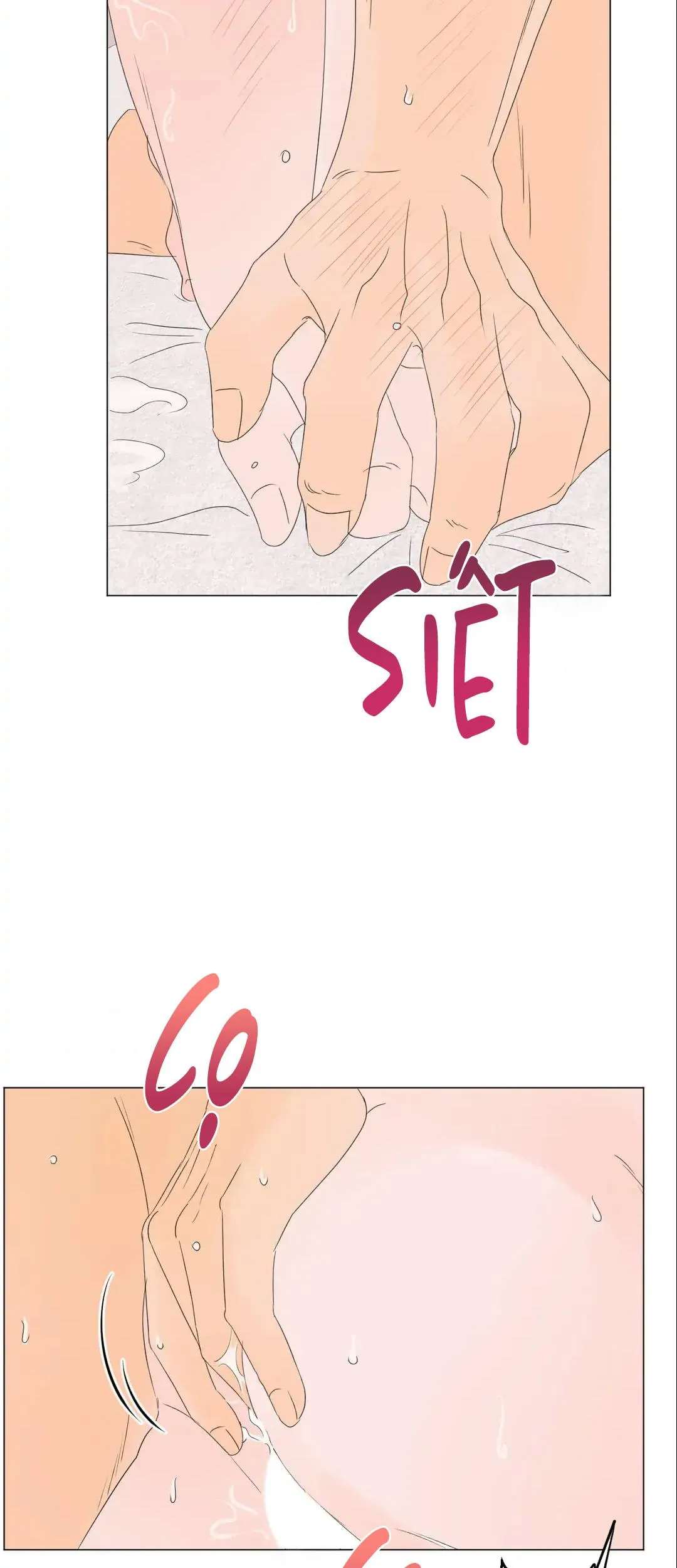 Ảo Ảnh Nhân Đôi Ngoại Truyện Chapter 1 Trang 64