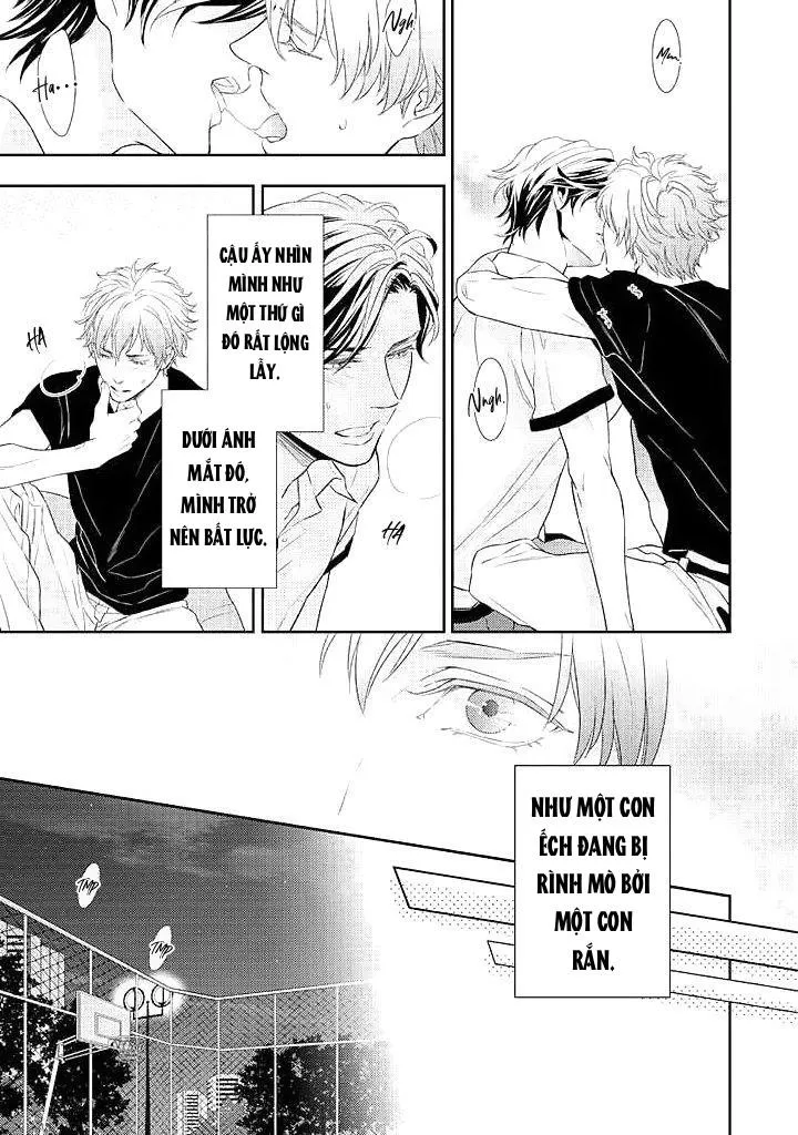 Áp xuất cao Chapter 1 Trang 13