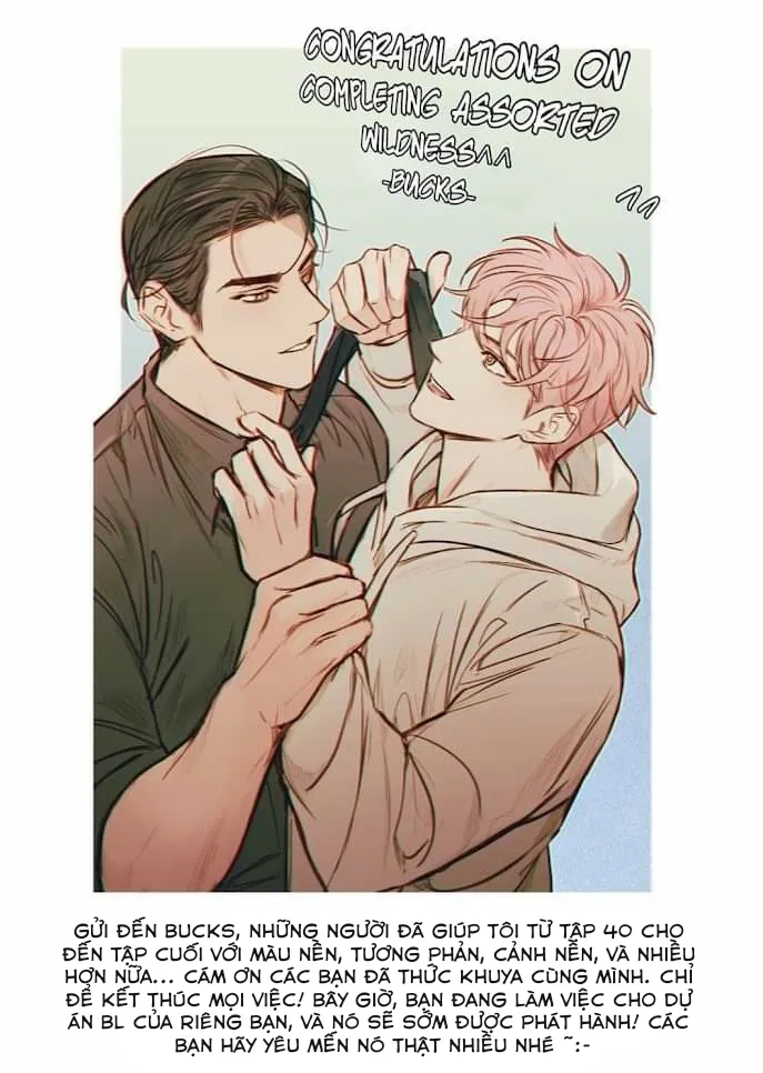 Assorted Wildness Chapter 61 Trang 13