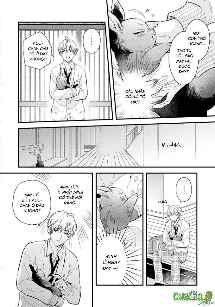 Atai jou to usagi no yamai Chapter 3 Trang 19