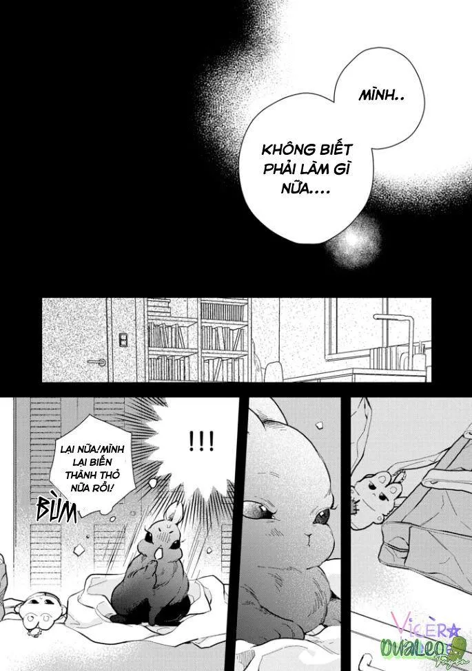 Atai jou to usagi no yamai Chapter 4 Trang 28