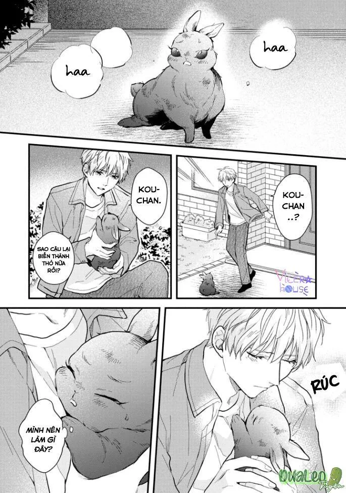 Atai jou to usagi no yamai Chapter 4 Trang 31