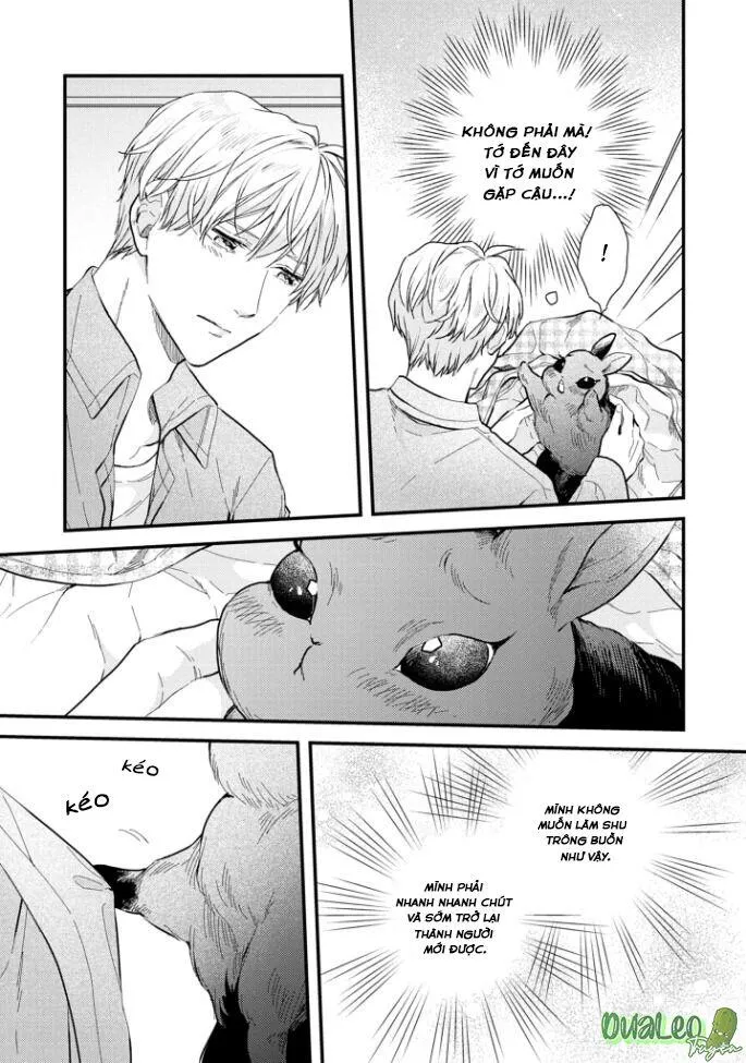 Atai jou to usagi no yamai Chapter 5 Trang 4