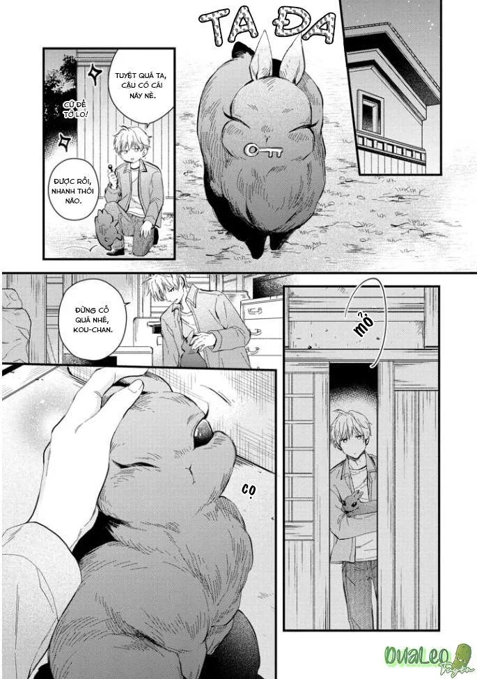 Atai jou to usagi no yamai Chapter 5 Trang 6