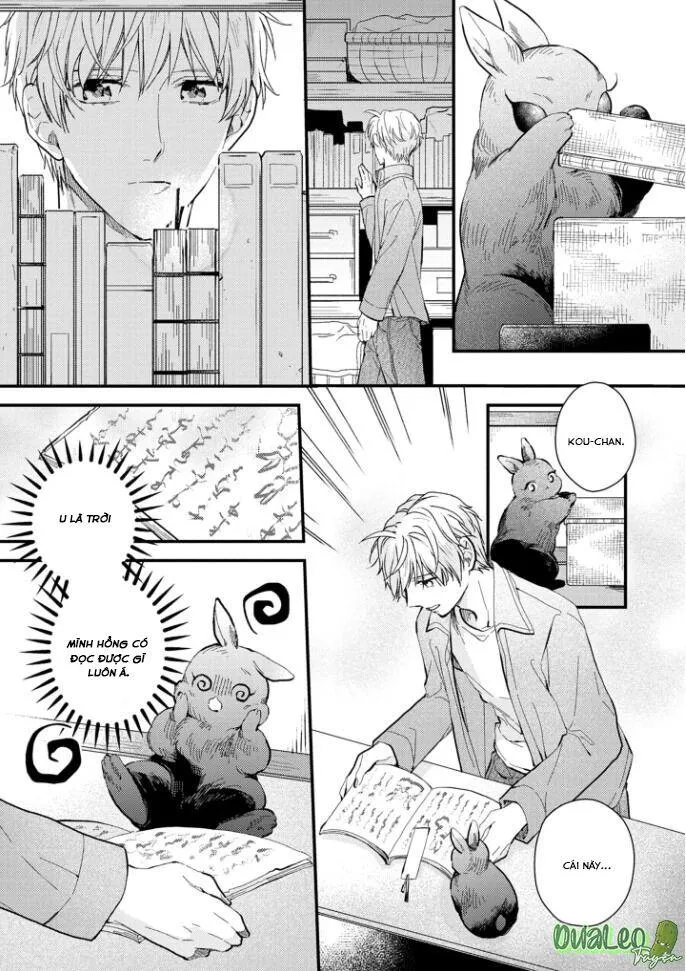 Atai jou to usagi no yamai Chapter 5 Trang 7