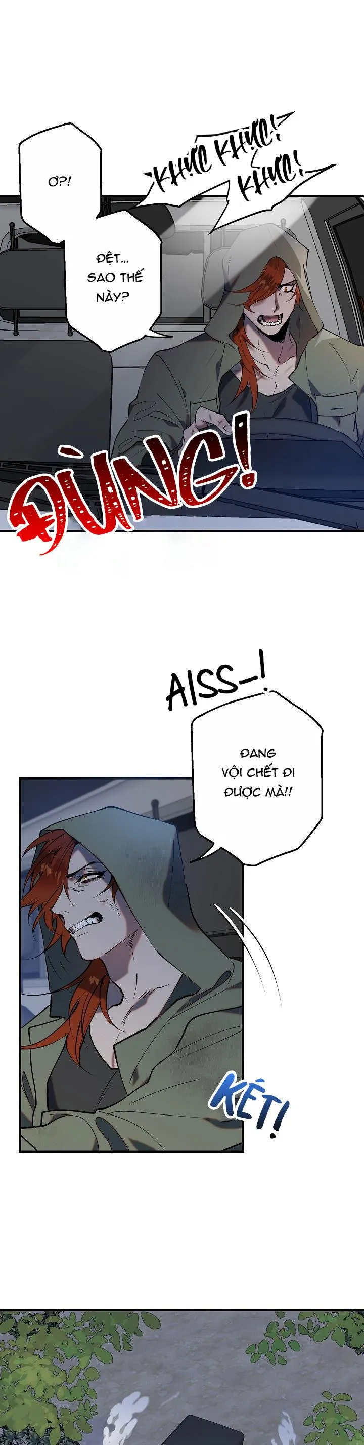 BA ANH EM HEO CON Chapter 1 Trang 6