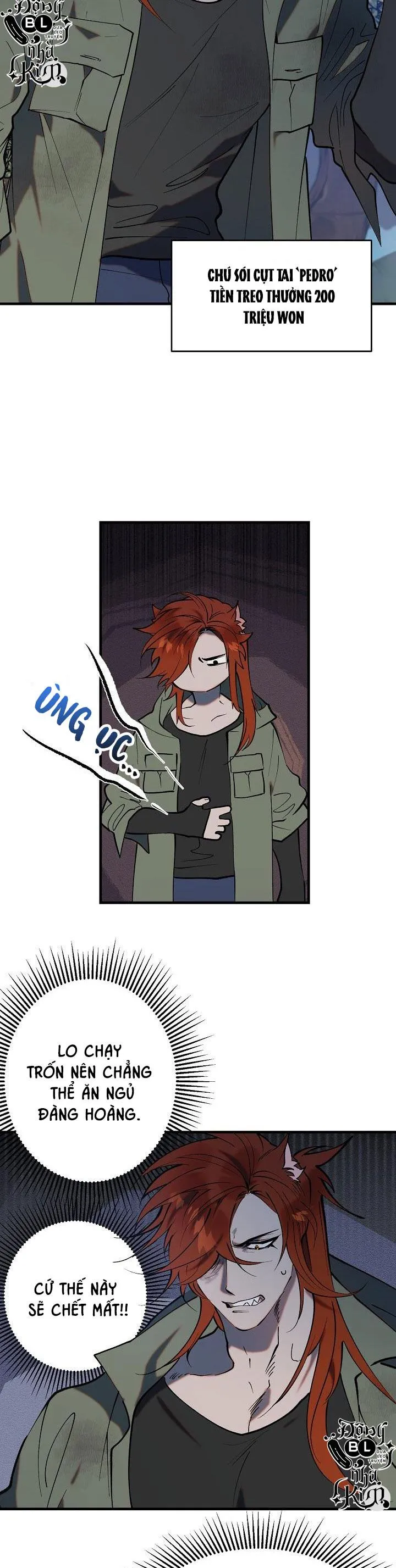 BA ANH EM HEO CON Chapter 1 Trang 8