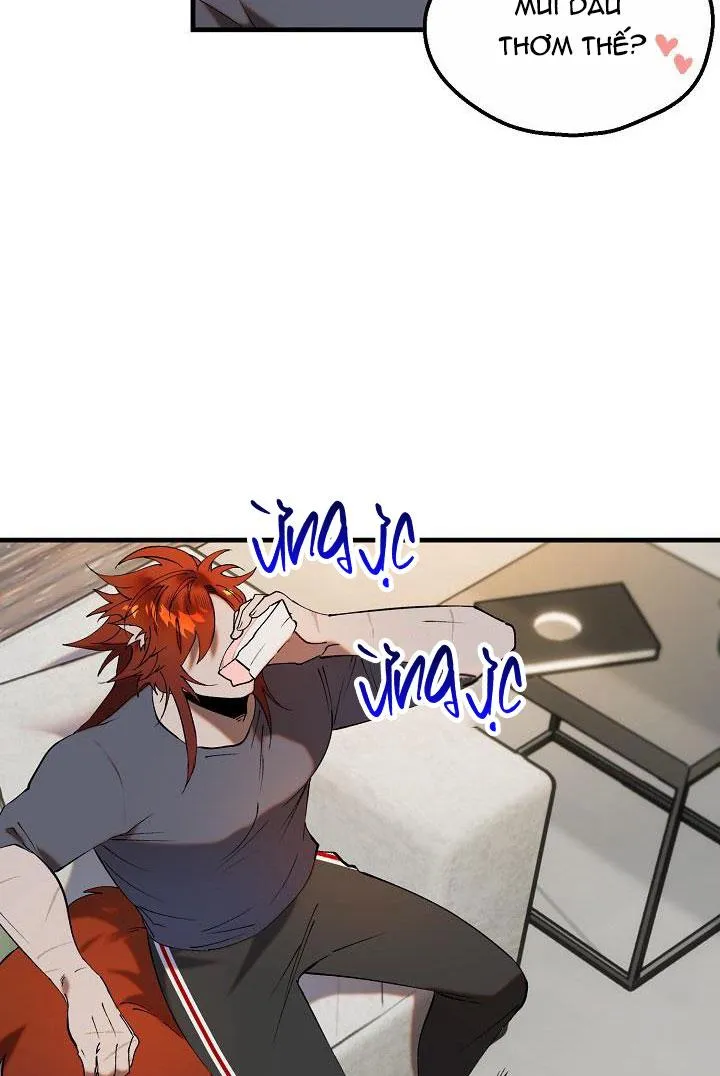 BA ANH EM HEO CON Chapter 9 Trang 35