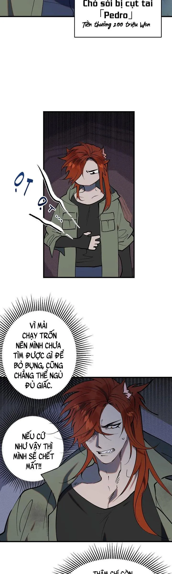 BA CHÚ HEO CON Chapter 1 Trang 9