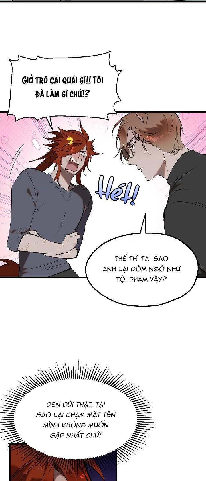 BA CHÚ HEO CON Chapter 10 Trang 19