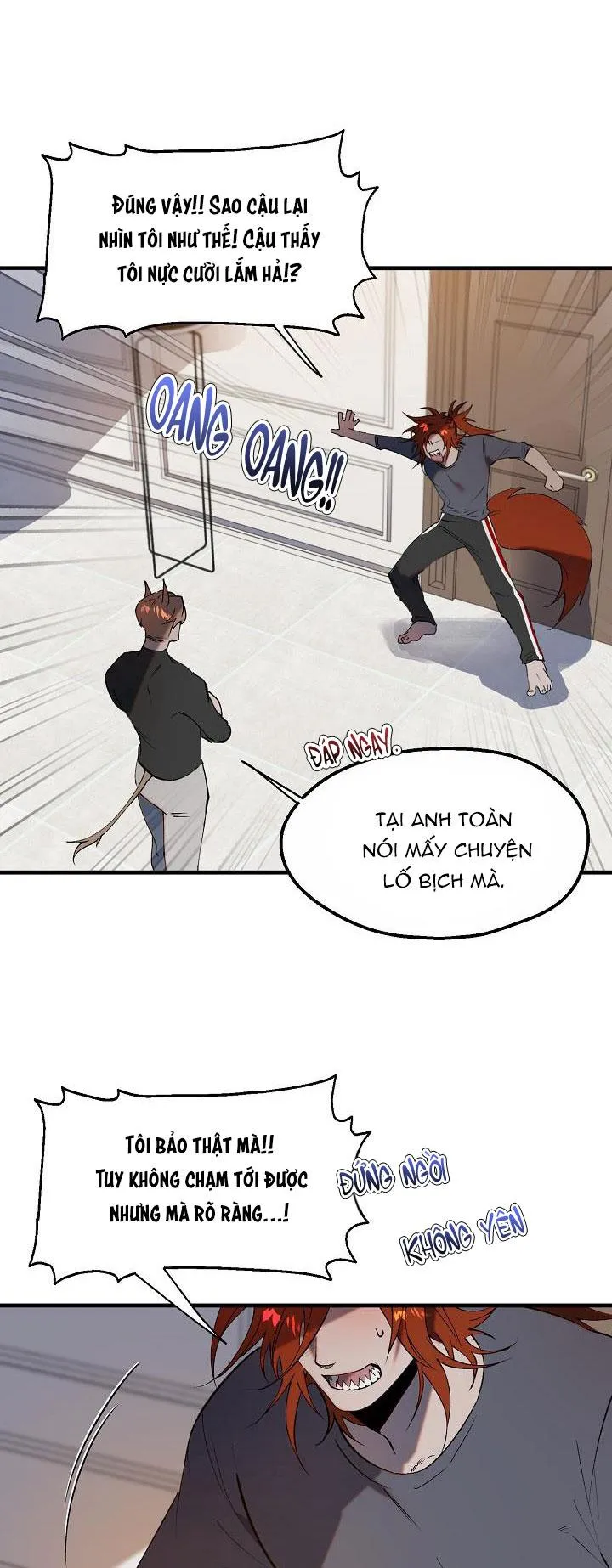 BA CHÚ HEO CON Chapter 10 Trang 27