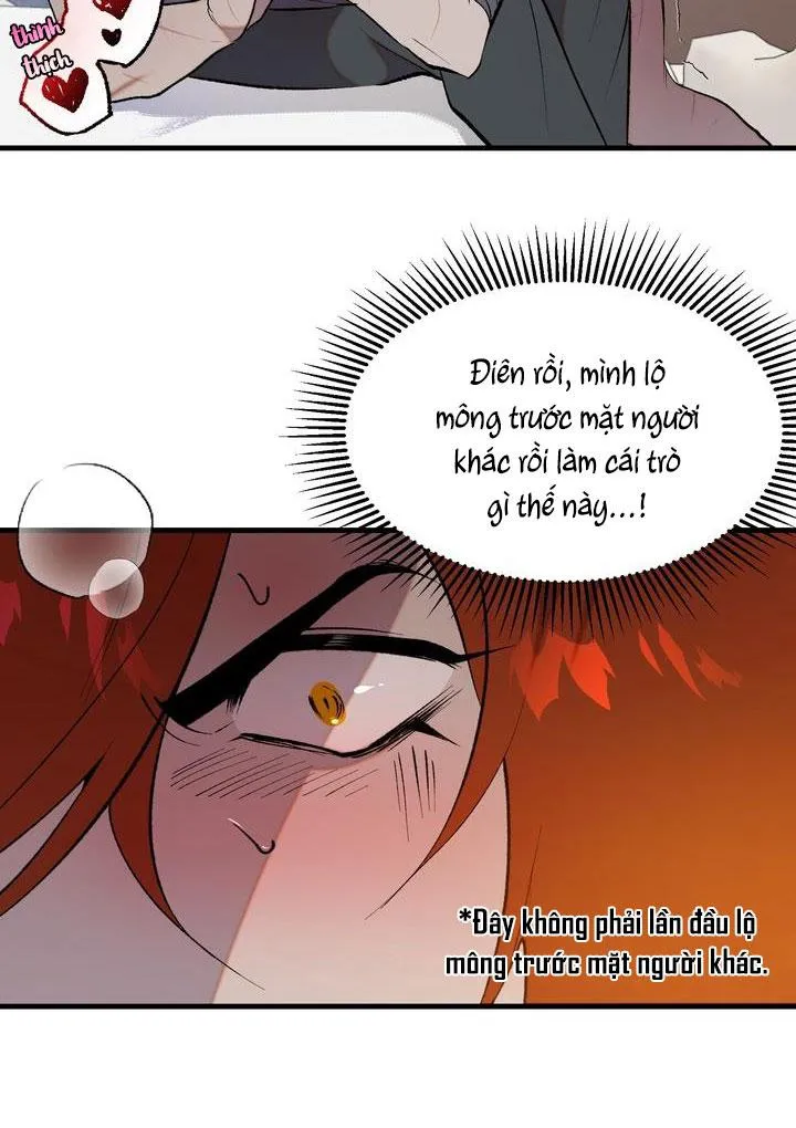 BA CHÚ HEO CON Chapter 11 Trang 4