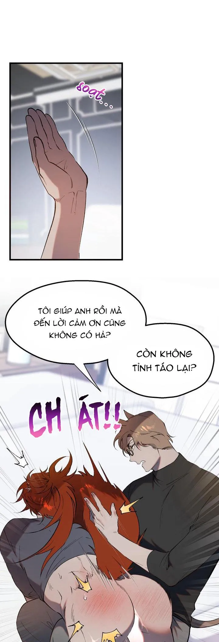 BA CHÚ HEO CON Chapter 11 Trang 15