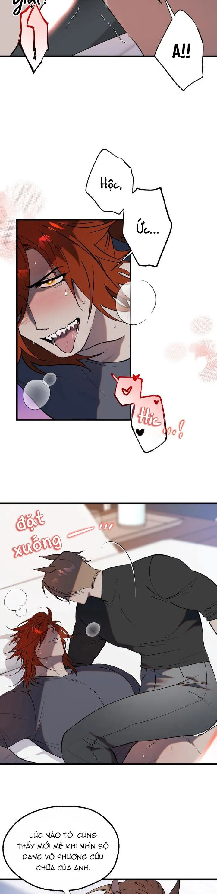 BA CHÚ HEO CON Chapter 11 Trang 19