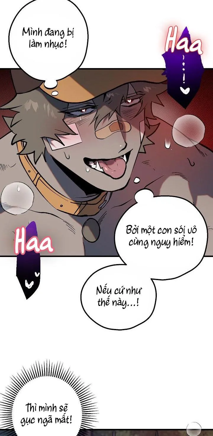 BA CHÚ HEO CON Chapter 4 Trang 15