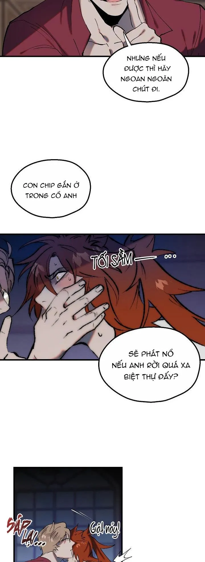 BA CHÚ HEO CON Chapter 8 Trang 21
