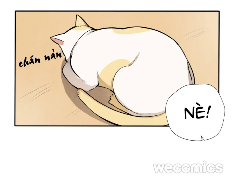 Ba tháng để sống Chapter 10 Trang 11