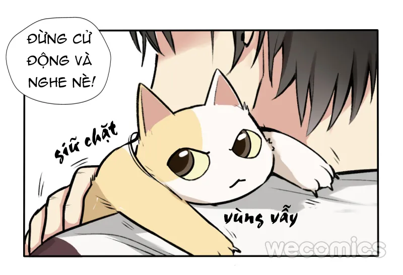 Ba tháng để sống Chapter 10 Trang 17