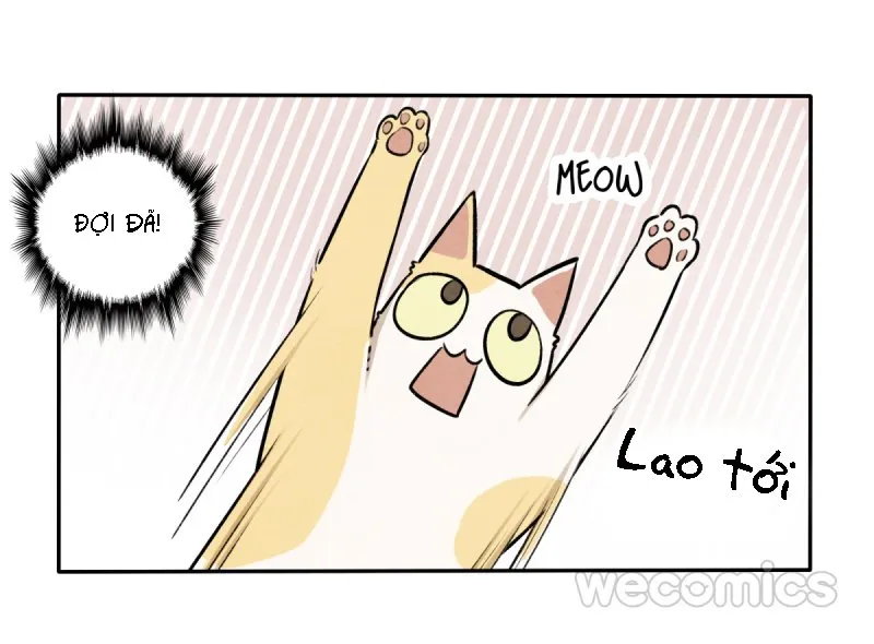 Ba tháng để sống Chapter 8 Trang 22