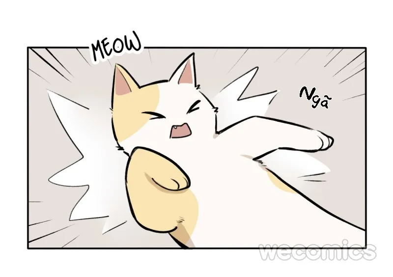 Ba tháng để sống Chapter 8 Trang 27