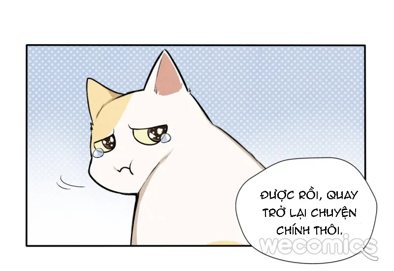 Ba tháng để sống Chapter 8 Trang 31