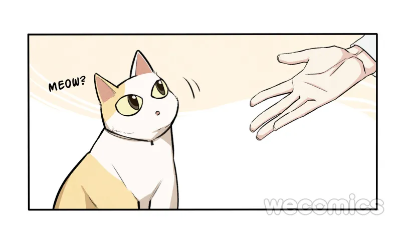 Ba tháng để sống Chapter 9 Trang 14