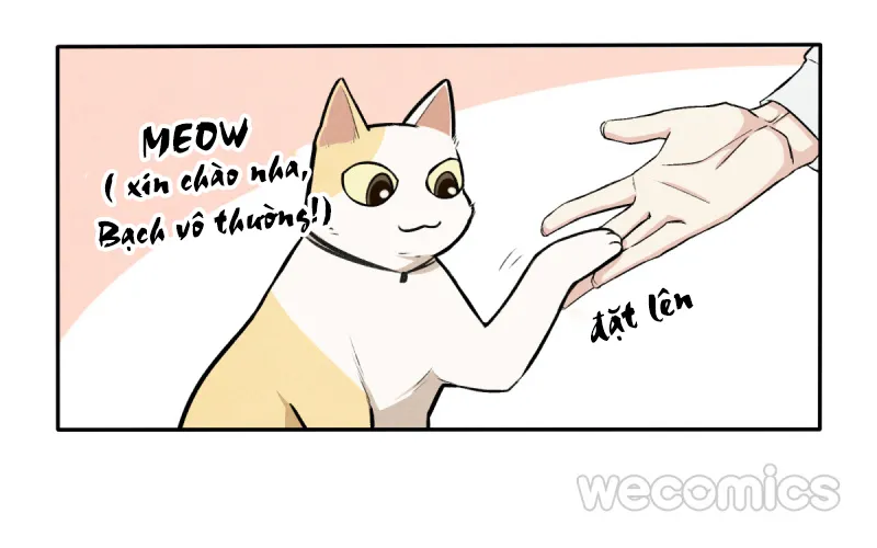 Ba tháng để sống Chapter 9 Trang 16