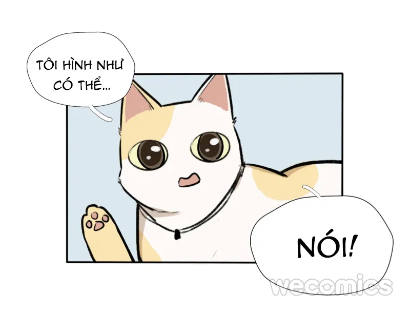 Ba tháng để sống Chapter 9 Trang 20