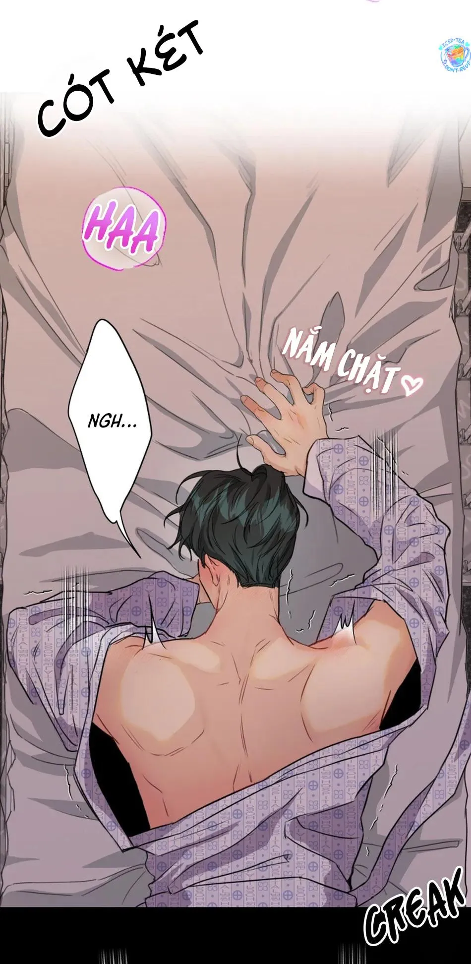 Bản báo cáo bắt giữ tuyến tiền liệt Chapter 0 Trang 12