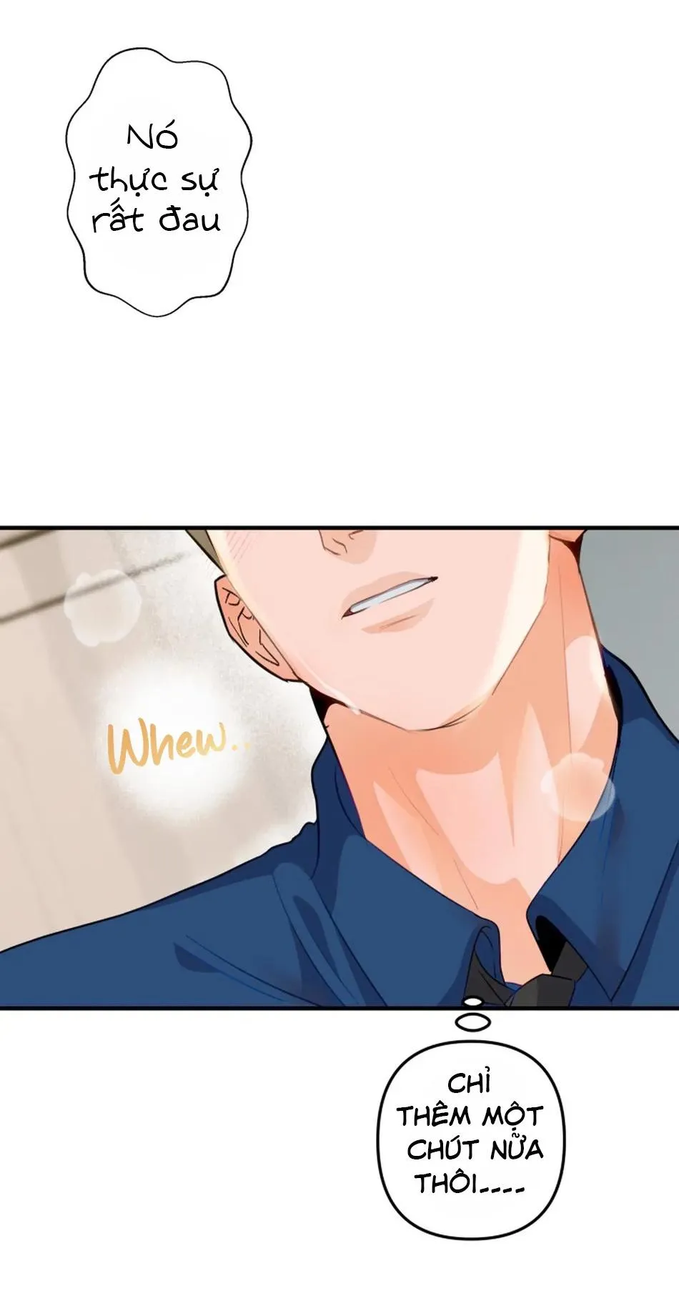 Bản báo cáo bắt giữ tuyến tiền liệt Chapter 4 Trang 27