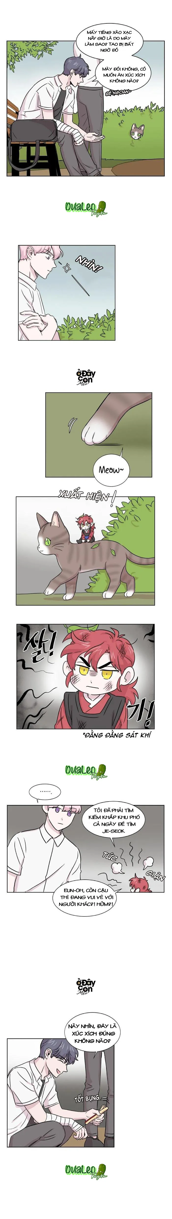 Bạn Có Biết Về Thiên Thần Hộ Mệnh Không Chapter 10 Trang 5